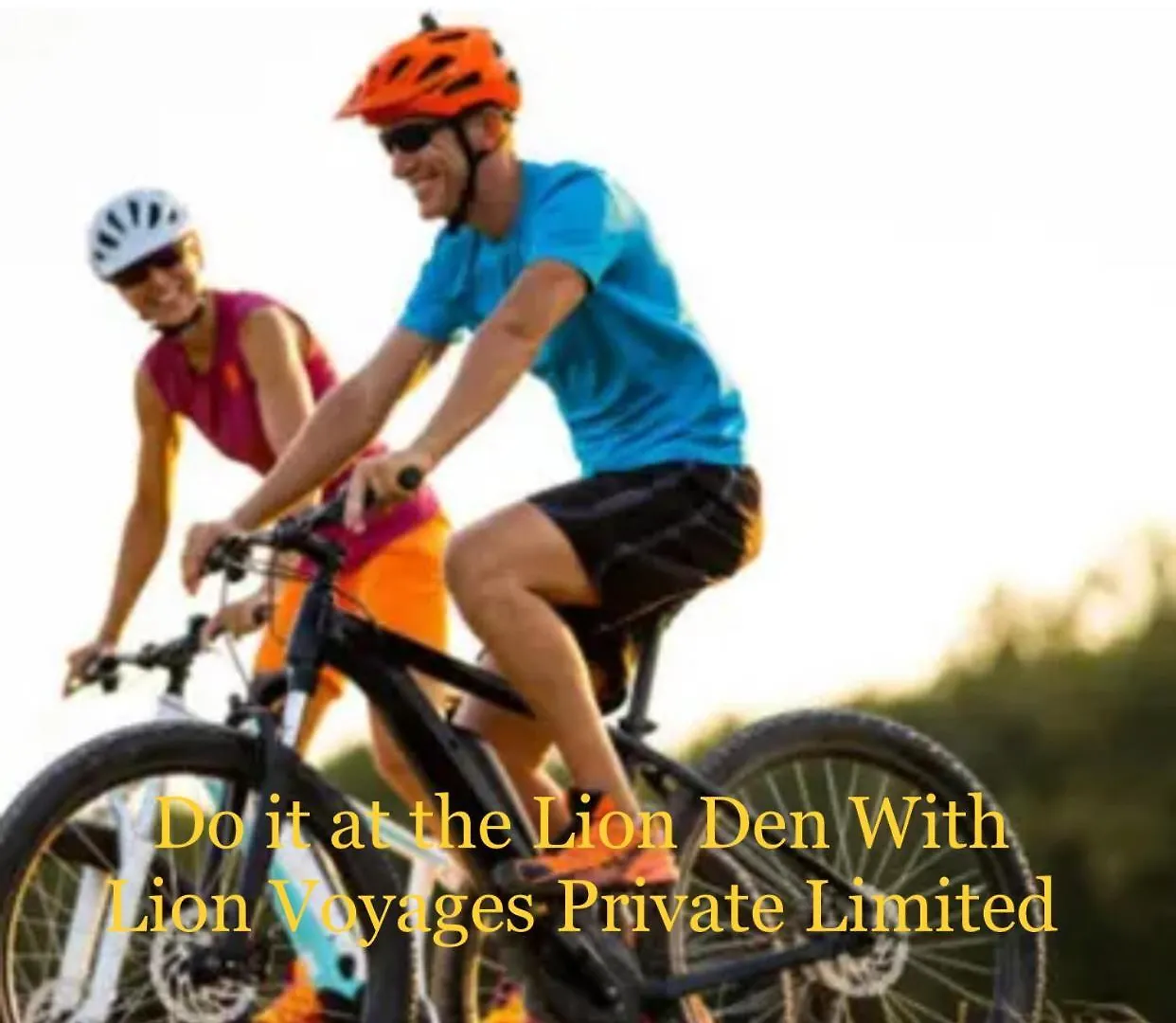 Lion Den Airport Transit Hotel, By Lion Voyages Private Limited, Free Airport Pickup & Drop, Free Wi-Fi , Excellent Customer Service Katunayake 0*,  Sri Lanka
