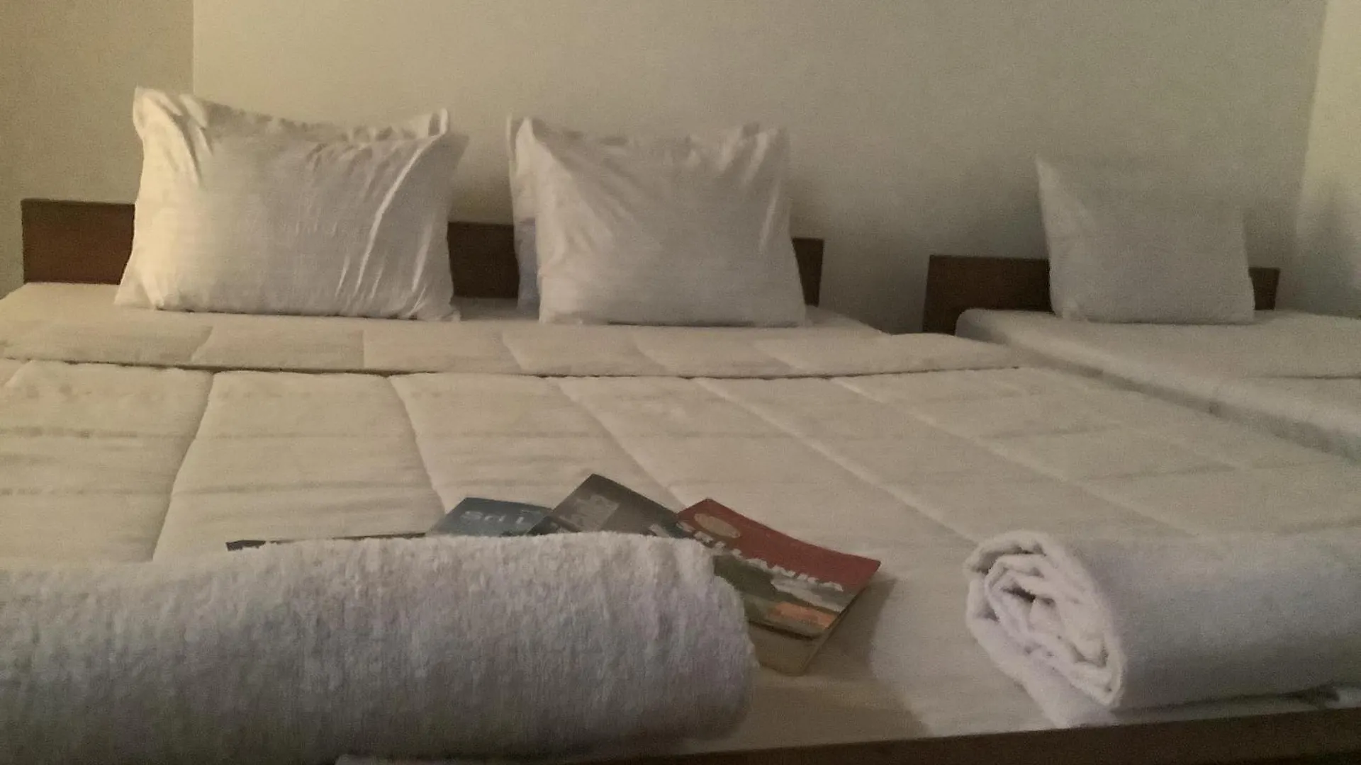 Lion Den Airport Transit Hotel, By Lion Voyages Private Limited, Free Airport Pickup & Drop, Free Wi-Fi , Excellent Customer Service Katunayake 0*,