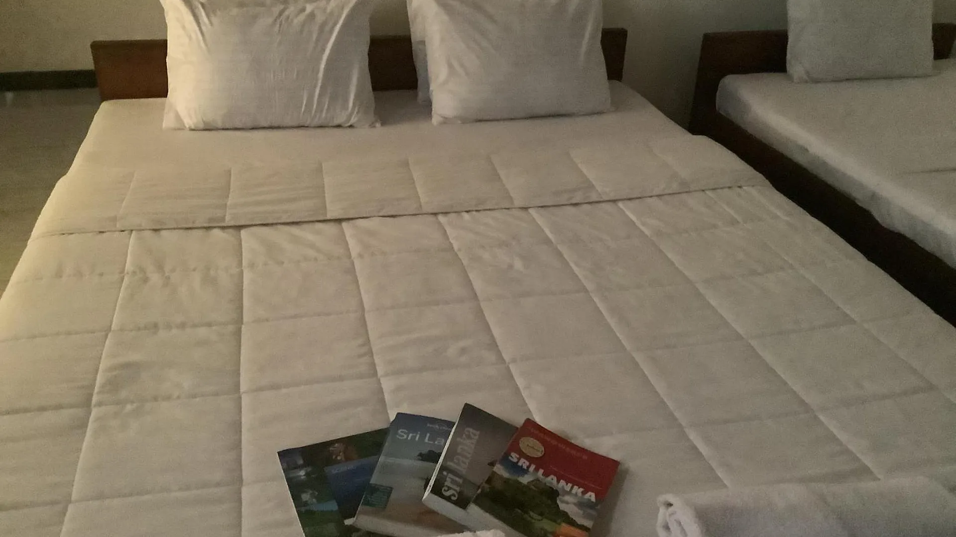 Lion Den Airport Transit Hotel, By Lion Voyages Private Limited, Free Airport Pickup & Drop, Free Wi-Fi , Excellent Customer Service Katunayake